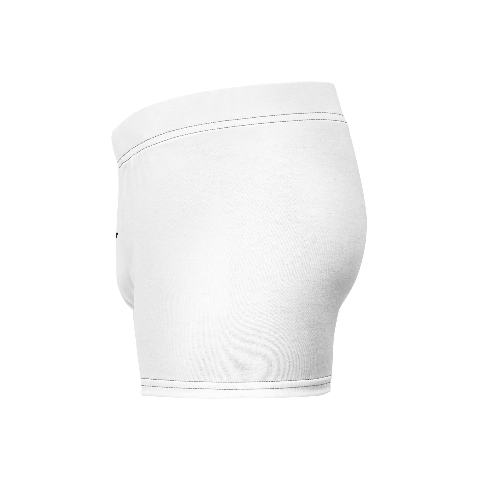 Large Package Handle with Care Boxer Briefs-Phoenix Styles