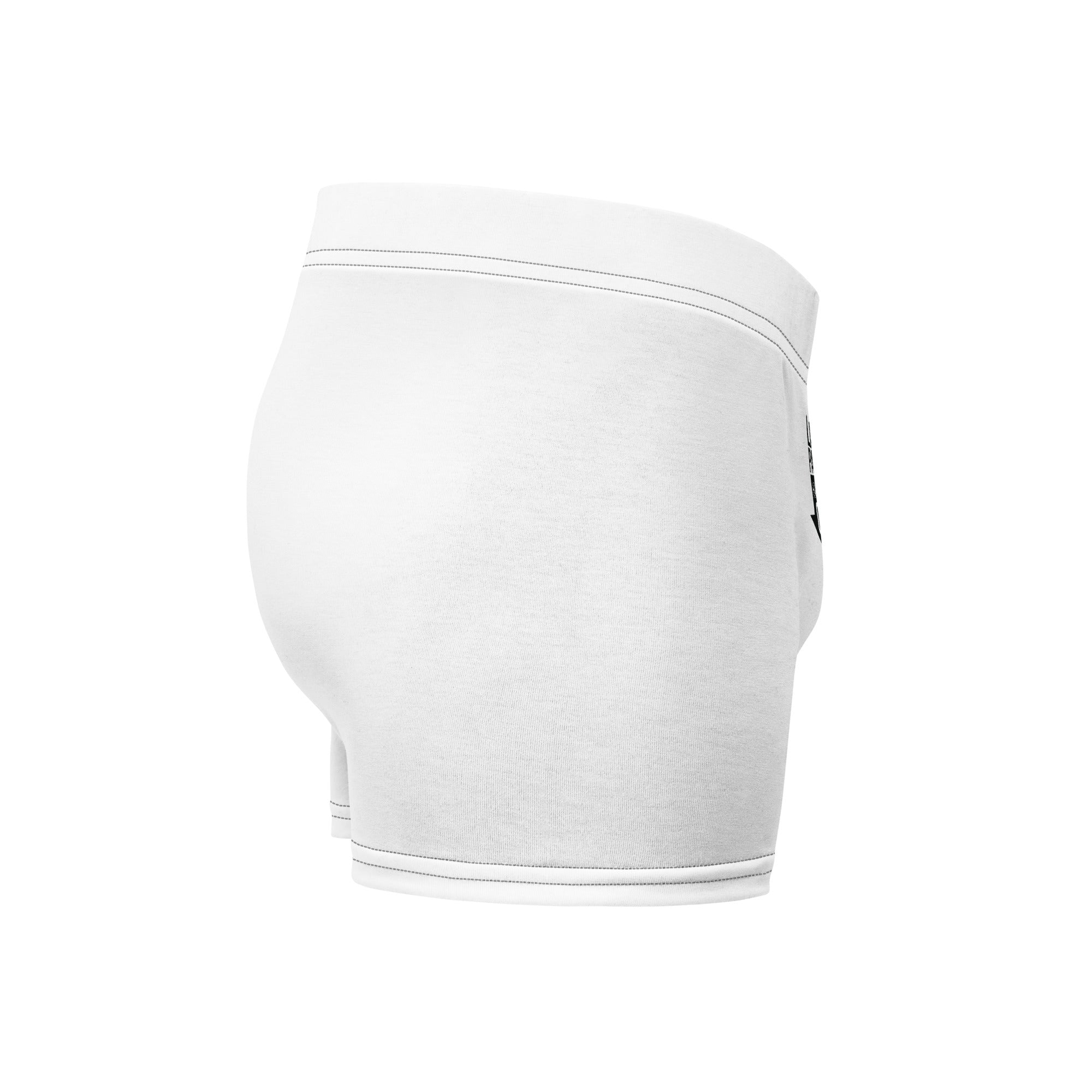 Large Package Handle with Care Boxer Briefs-Phoenix Styles