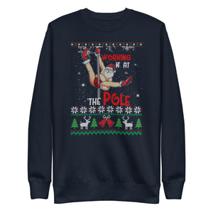 Working It At The Pole Premium Sweatshirt-Phoenix Styles