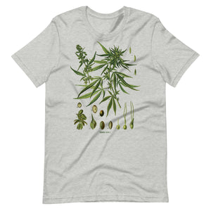 Vintage-Cannabis-Botanical-Chart-Antique-Hemp-Unisex t-shirt-Phoenix Styles