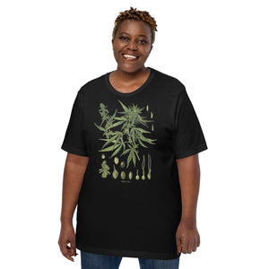 Vintage-Cannabis-Botanical-Chart-Antique-Hemp-Unisex t-shirt-Phoenix Styles